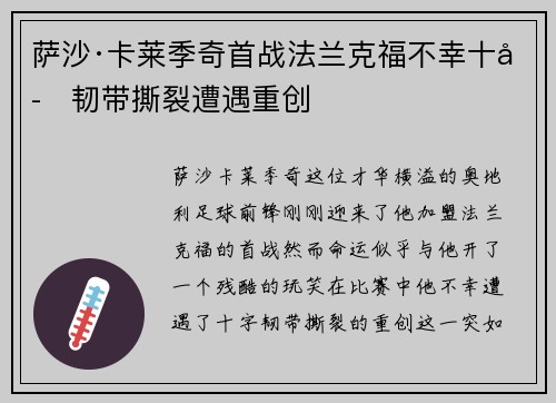 萨沙·卡莱季奇首战法兰克福不幸十字韧带撕裂遭遇重创 萨沙·卡莱季奇首战法兰克福不幸十字韧带撕裂遭遇重创